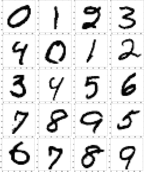 Neural Network Images